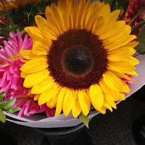 Meet your Posher, Olivia